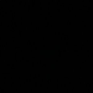 Meet your Posher, Gracie